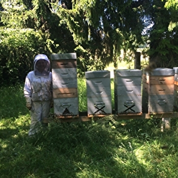 Le Rucher des Morelles - GEZIER-ET-FONTENELAY