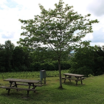 Aire de pique-nique - SEMUR-EN-BRIONNAIS