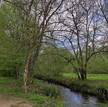 Les Anciens Moulins - RIOZ
