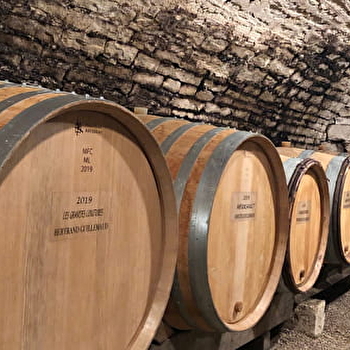 Guillemaud Bertrand  - MEURSAULT