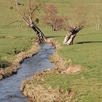 Gite Fée Grenouille - MARTIGNY-LE-COMTE