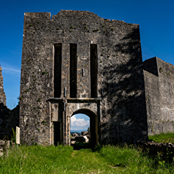 Vestiges du château de Présilly - PRESILLY