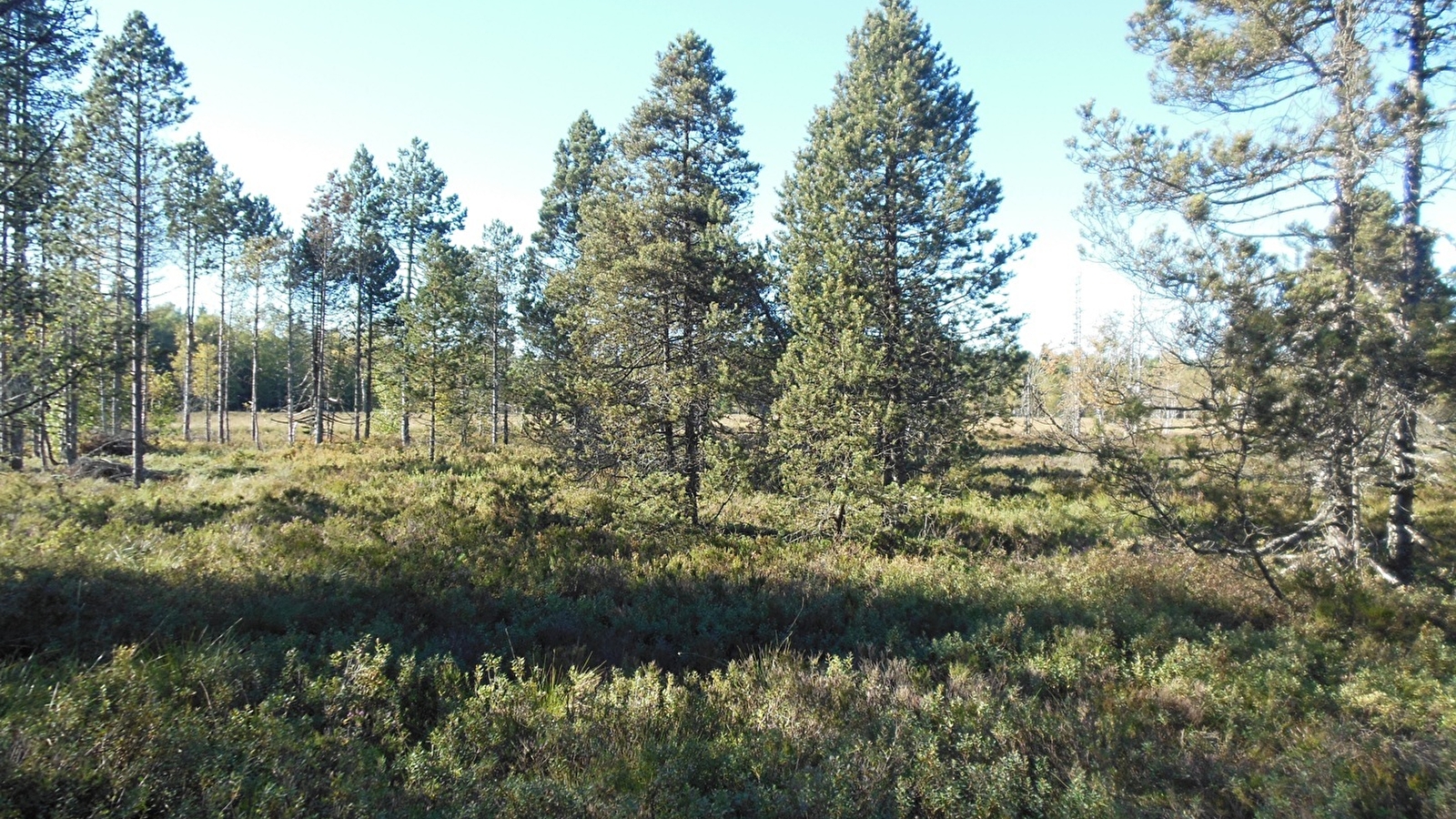Lac et tourbières Frasne - Bouverans