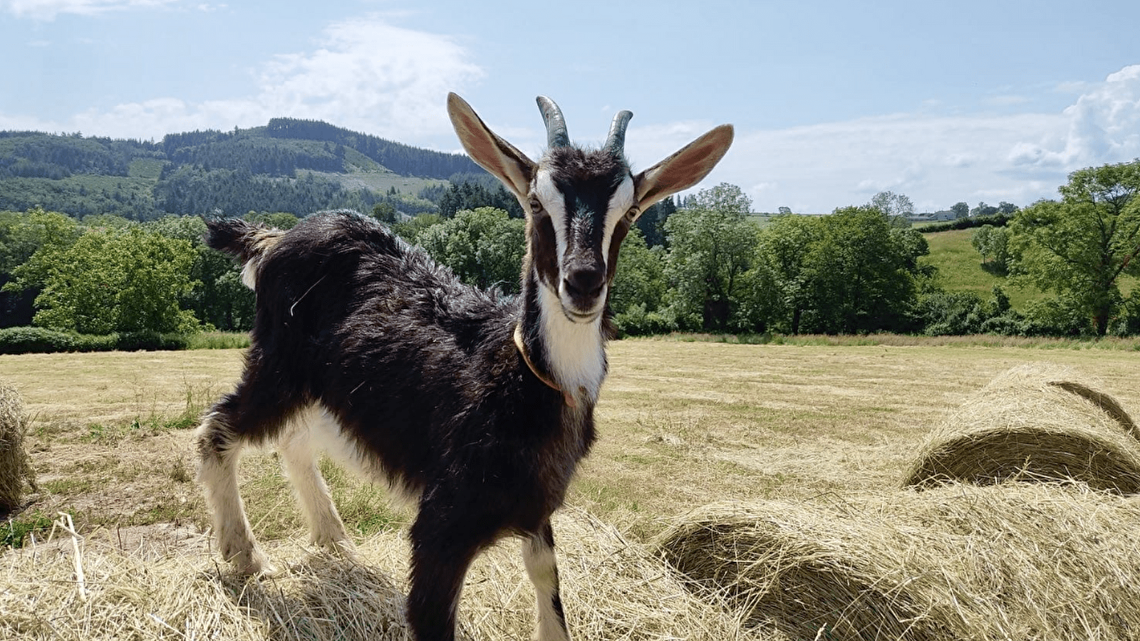 Les Coulisses du Terroir - La Ferme de Masolat