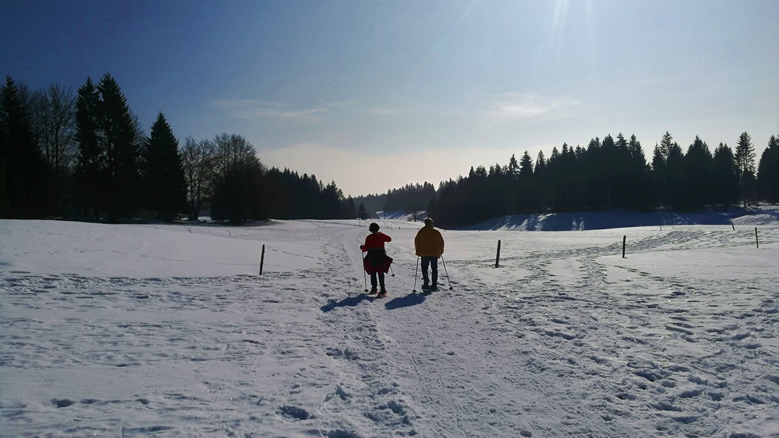 Itinéraire Raquettes du site de Lachat 'Le Golet Sapin'