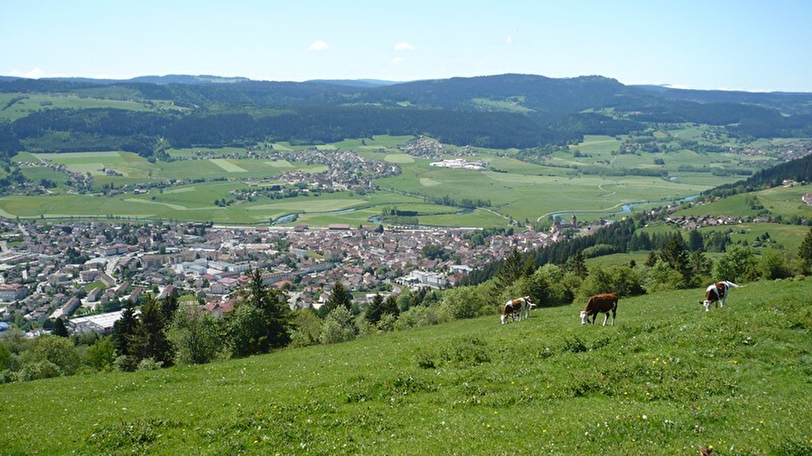 Mont-Vouillot depuis Les Fins