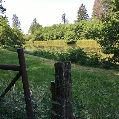 Meublé Le Petit Foulon