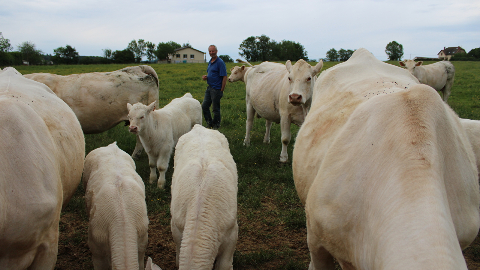 La viande à Billoux