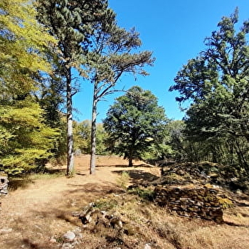 Camp néolithique de la Montagne de la Roche - BOURGUIGNON-LES-MOREY