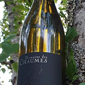 Domaine des Chaumes – Romain Poullet - MALIGNY