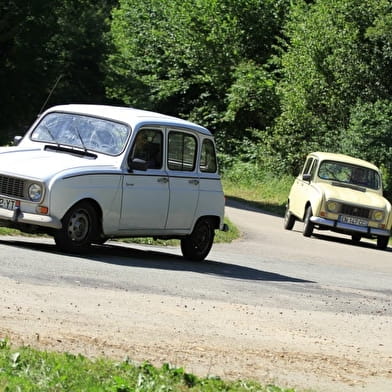 Auto rétro des sapins