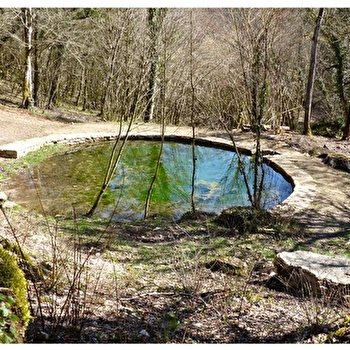 Boucle du Lézard Vert - VAL-SUZON