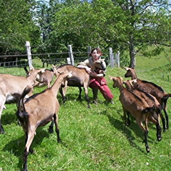 Les chèvres de Lucie - POIL