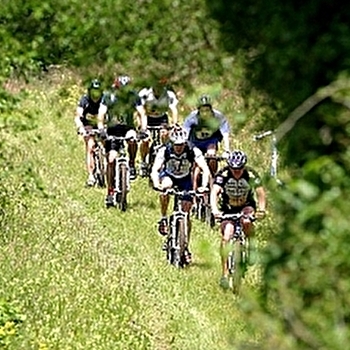 VTT dans les Monts de Gy : Circuit 59 'Vauvenise' - GEZIER-ET-FONTENELAY