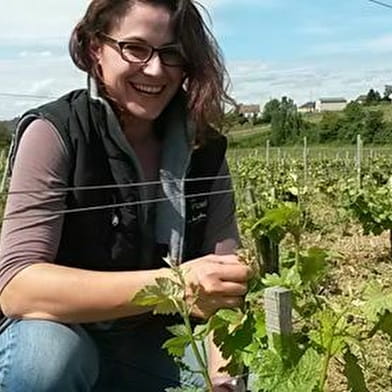 Domaine Marielle & Claude Michot