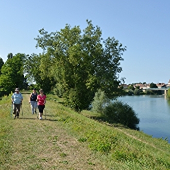 Panouille dans la panade - VERDUN-CIEL