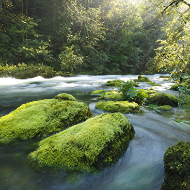 GRP Champagnole Nozeroy Jura