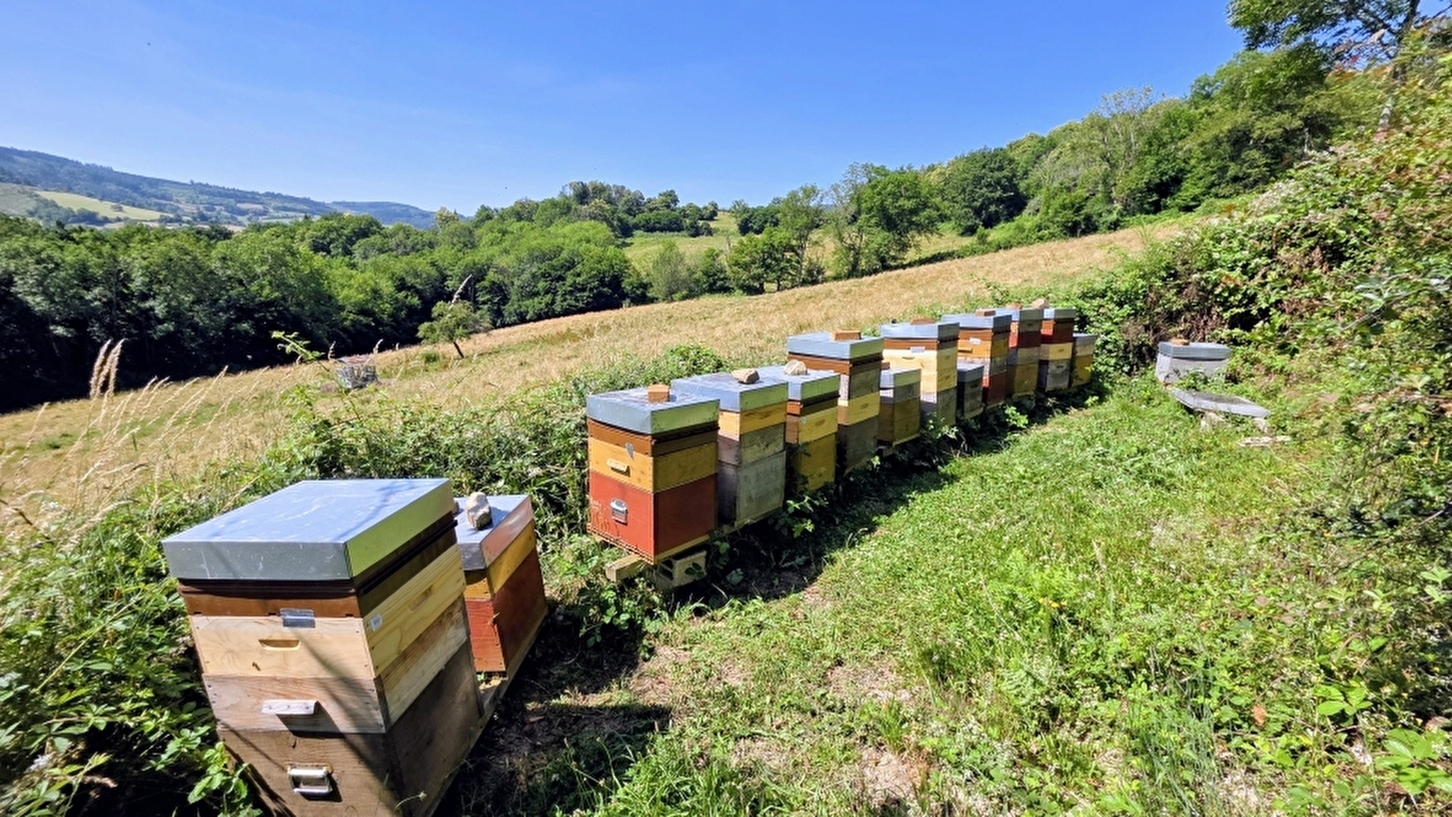 Les Coulisses du Terroir - Apiculteur