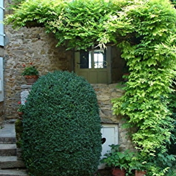 le Cuvage de Davenay - BUXY