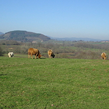En montant à Dône - THIL-SUR-ARROUX