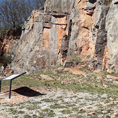 Site d'escalade - Etrigny