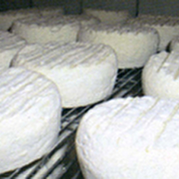 Fromagerie de Neuftables - LUTHENAY-UXELOUP