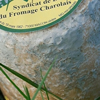 GAEC Mathieu-Chevalier - SAINT-VINCENT-BRAGNY