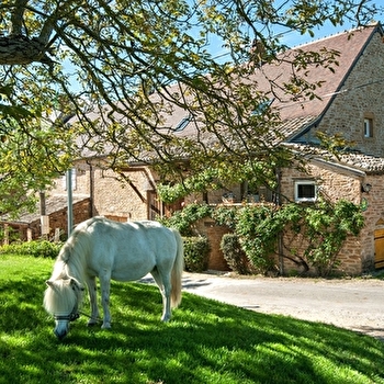 Le Petit Gîte de la Ferme de Châtenay - ETRIGNY