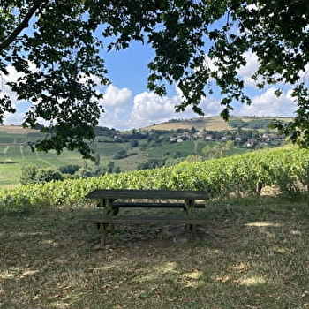 Aire de pique-nique - MOROGES