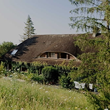 Domaine Foray - VILLECIEN