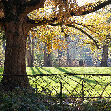 Aquarelle et botanique