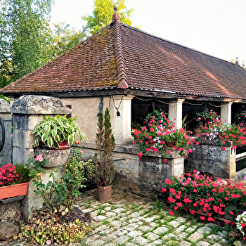 Lavoir de Mont-Saint-Léger - MONT-SAINT-LEGER