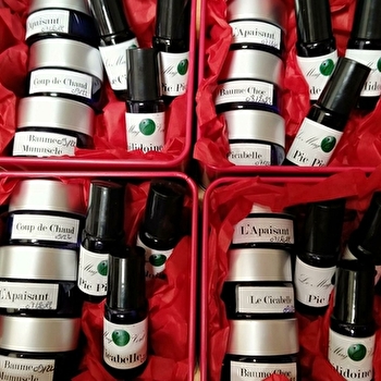 Le Mag'O Vert  - MONTENOISON