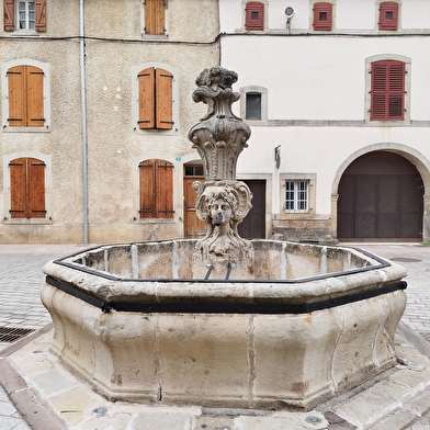 Faucogney-et-la-mer, Cité de caractere Bourgogne-Franche-Comté