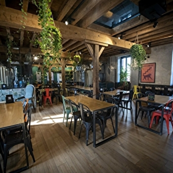 Un Singe en Hiver - DIJON