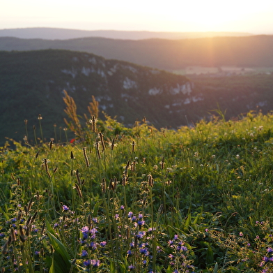 Randonnée - Au château de Balvay