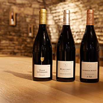 Dégustation Exception Grand Cru - Manoir des Parcellaires de Saulx - MEURSAULT