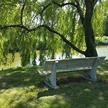 Circuit Gravel n°20 (rouge) Les Hauts de Servignat - Coq de Mantenay - SAINT-TRIVIER-DE-COURTES