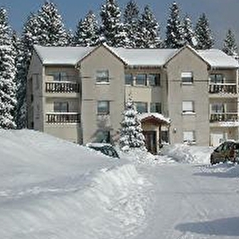 Appartement les Myrtillons n°4 - Linotte - CHAPELLE-DES-BOIS