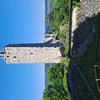 Castel Saint Denis - n° 28 - ORNANS