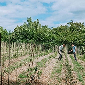 Les Rameaux Fruitiers - DORNECY