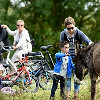 Itinéraire Chauffailles - La Clayette - CHAUFFAILLES