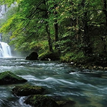 Aires de pique-nique de la Source du Lison - NANS-SOUS-SAINTE-ANNE