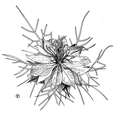 Atelier La Mallette - Lucie Deck