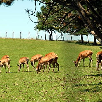 Le Ranch - HERICOURT