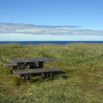 Aire de pique-nique du Bois du Fourneau à Amancey - AMANCEY