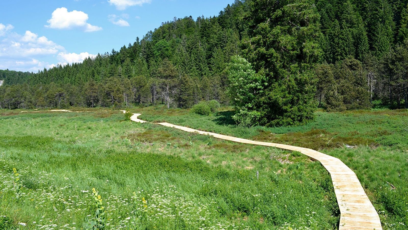 La Trémontagne - 84R