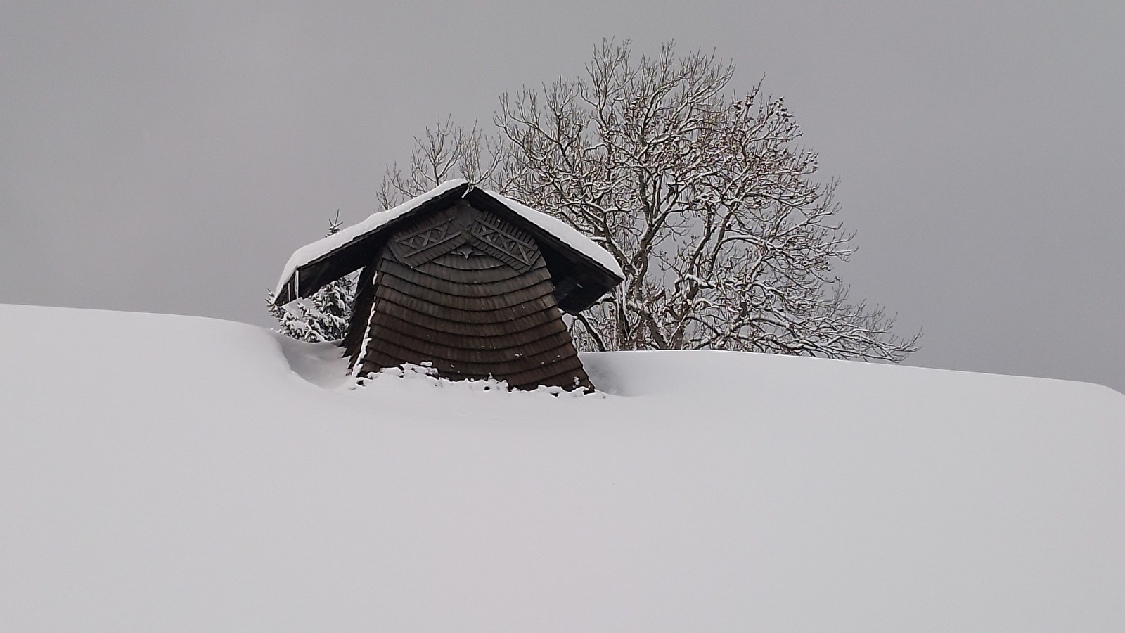 Visite guidée de l'écomusée Maison Michaud