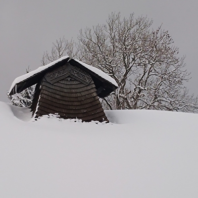 Visite guidée de l'écomusée Maison Michaud