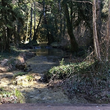 L'Izernore trail - Parcours de trail n°13 - IZERNORE